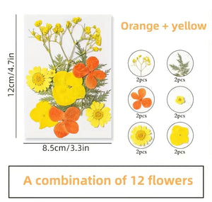 Dried Flower Orange Yellow