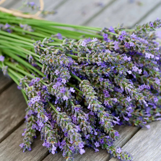 CS Lavender Fragrance oil