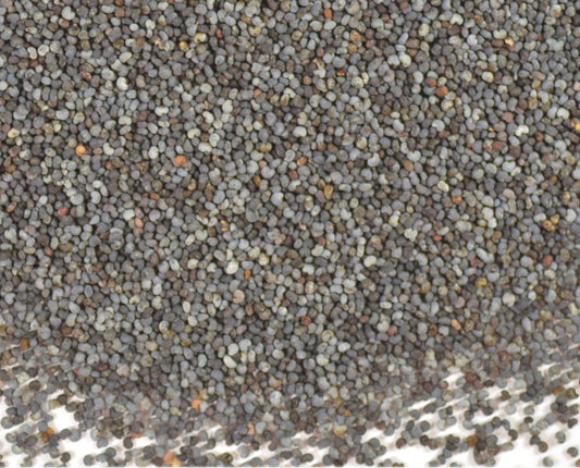 Poppy Seed 1 oz