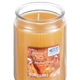 Mainstays Mulled Cider Single-Wick Jar Candle, 20 oz