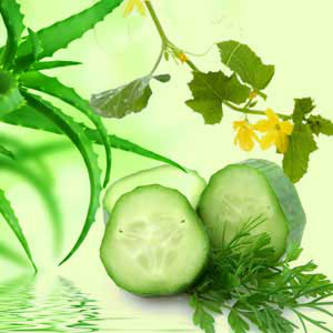 NG ALOE VERA & CUCUMBER FRAGRANCE OIL 1 ONZ