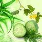 NG ALOE VERA & CUCUMBER FRAGRANCE OIL 1 ONZ