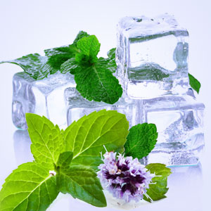 Spearmint Fragrancia en aceite 1 oz