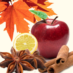 NG AUTUMN MAGIC FRAGRANCE OIL 1 oz