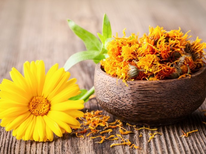 Calendula Oil