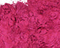 Plumberry Pink Mica Powder