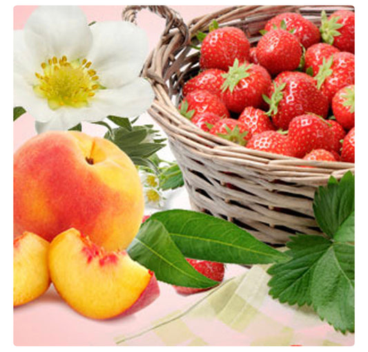 NG Strawberry Patch Type Fragrance oil