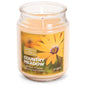 Complete Home Jar Candle Country Meadow 18 onz