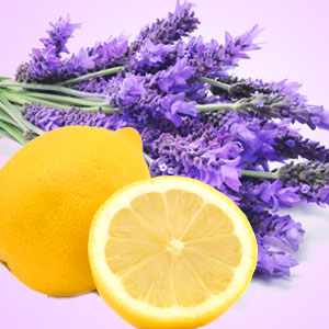 AZ Lavender lemon (Type) fragrance oil 1 oz