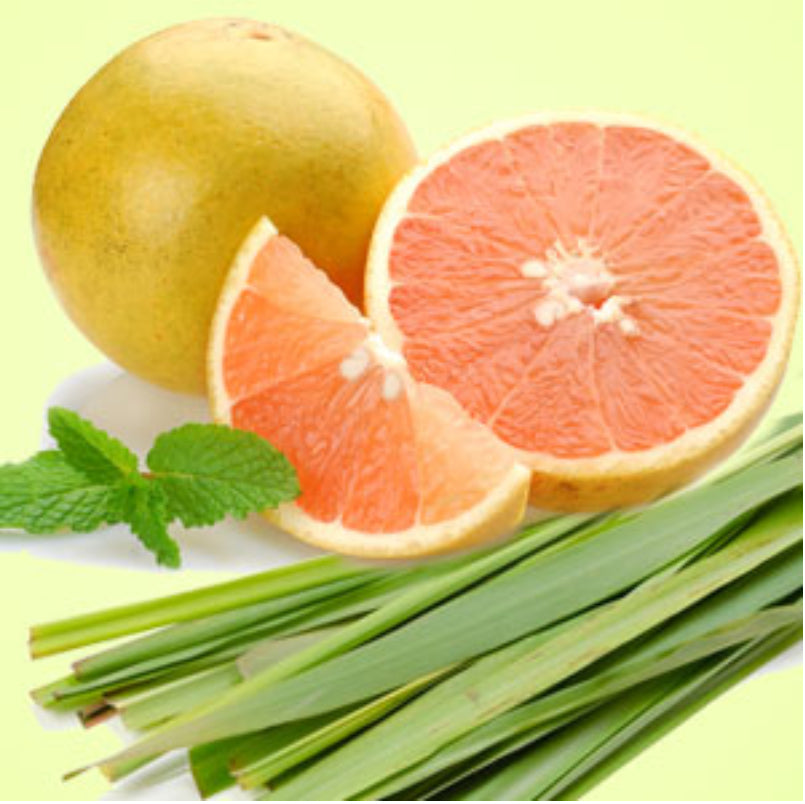 NG Grapefruit Lemongrass Energize Fragrance Oil  1 oz