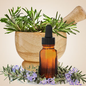 NG ROSEMARY FRAGRANCE OIL 1 oz