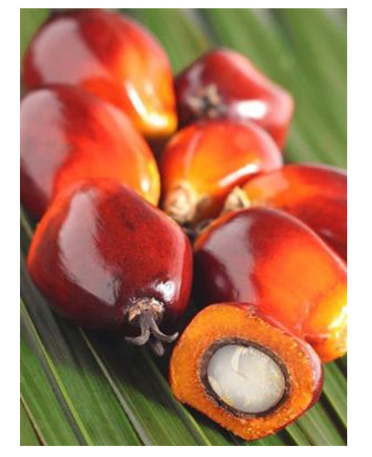 Palm Oil