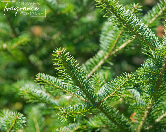 MW Balsam Fir Fragrance Oil